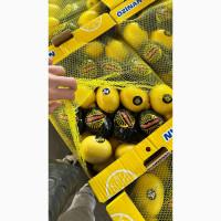 Продам лимон энтер