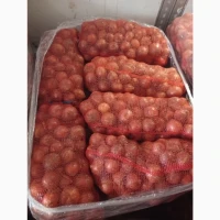 Продам крупный лук на переработку