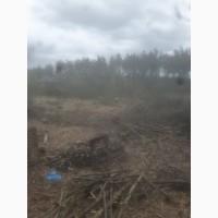 Расчистка участков покос травы, спиливание деревьев
