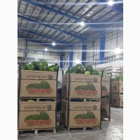 Продам кавуни оптом