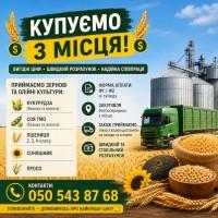 Закупівля зернових та олійних культур - розрахунок за фактом
