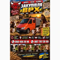 Закуповуємо ВРХ