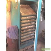 Продам инкубатор ИНКА 1600