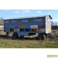 Бджолопавільйон, пчелопавильон