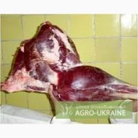 Продам мясо страуса