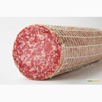 Продам сыр пармезан