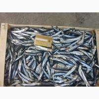 Хамса, тюлька азовская оптом