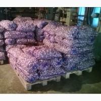 Чеснок товарный калибр 40.55