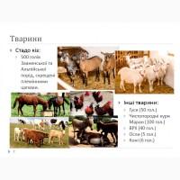 Діюча органічна козина ферма, Львівська обл
