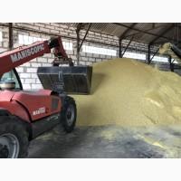 Продам соєвий жмих (макуху) Корм для свиней від 20 кг