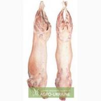 Купить баранину. Мясо баранины. Продажа баранины в тушах