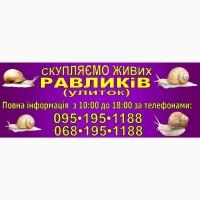 Закупаем улитку от населения и заготовителей ( равлик дикий )