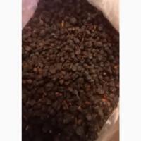 Ягоди чорниці, сушені