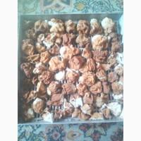 Продам настойку строчка, 2025 р