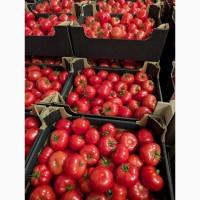 Продам помидоры тепличный в Польше