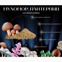 Мухомор Пантерний мелені шляпки, 25 грам