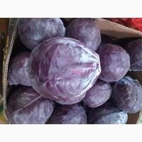 Продам фіолетову капусту