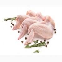 Філе Куряче Охолоджене