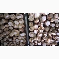 Продам білий гриб сухий для гурманів