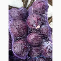 Продам червоноголову капусту