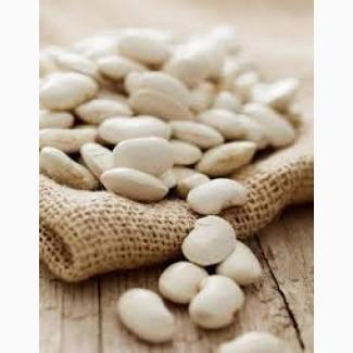 Продаємо насіння квасолі різних сортів