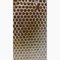 Продам рамку меду