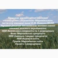 ДПДГ Агрономія пропонує насіння озимої пшениці (супереліта, еліта)