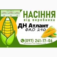 Високоякісне насіння кукурудзи від виробника N1 у Харківській області