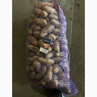 Продам картофель гранада