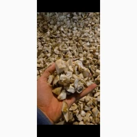 Продаж.Білі гриби морожені ( кубик 1.5×1.5 )