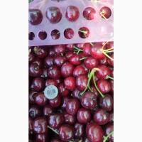 Продам средне-мелкую черешня