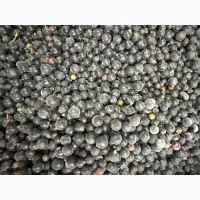 Продам чорну смородину оптом б клас