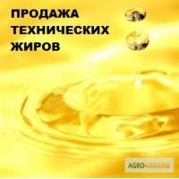 Технический жир недорого. Купить жир куриный технический