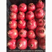 Продам гранат (Egypt)