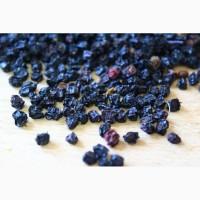 Продам бузину плоды (сушеные)