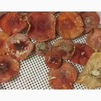 Мухомор красный