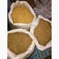 Фабричный табак winston, прилуки, вирджиния gold