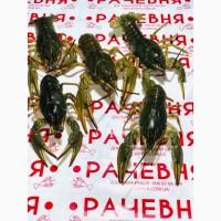 Куплю раки Дорого