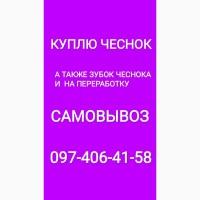 Куплю чеснок крупный средний мелкий