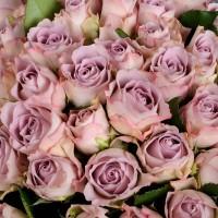 Большой ассортимент роз и плодовых деревьев