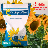 Насіння СОНЯШНИКА за цінами від виробника