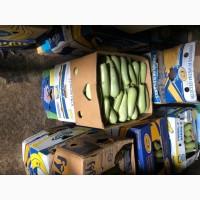 Продам товарний кабачок