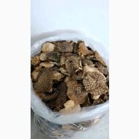 Мухомор пантерный, сухой