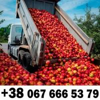 Купляємо на постійній основі - ДЗBОНІТЬ ТЕЛЕФОН на фото !!!! + ПДВ -ВАШ ТРАНСПОРТ