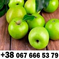 Купляємо на постійній основі - ДЗBОНІТЬ ТЕЛЕФОН на фото !!!! + ПДВ -ВАШ ТРАНСПОРТ