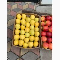 Продам яблука
