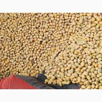 Закуповуємо Сою