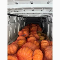 Продам гарбуз «Мускат»