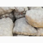 Картопля жовта продовольча Волинська обл опт сітки по домовленості