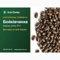 Бойківчанка - розторопша плямиста, насіння еліта, РН-1 з документами